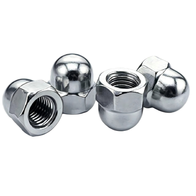 Stainless Steel Cap Nuts